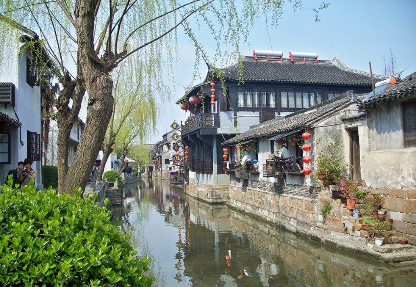 除了石楠花，还有哪些花味道极其难闻？游戏画面